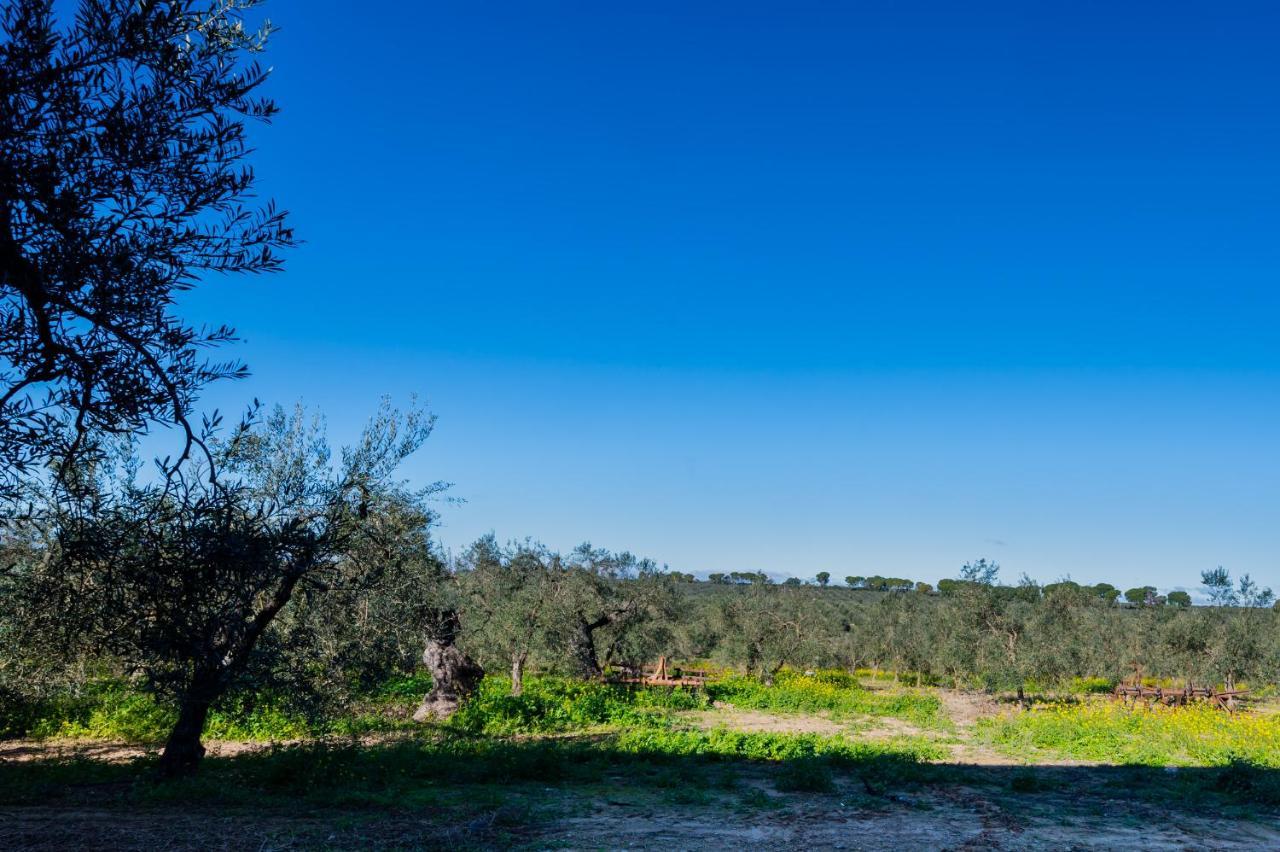 El Paraiso Del Olivar Bollullos de la Mitacion Екстер'єр фото